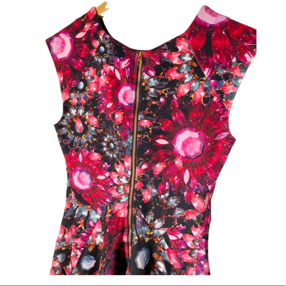 NEW!! Ted Baker Crystal Broach Skater Dress - Picture 4 of 10